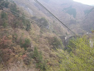 苴
